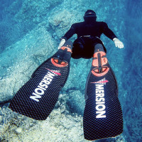 Palme Chasse Sous Marine